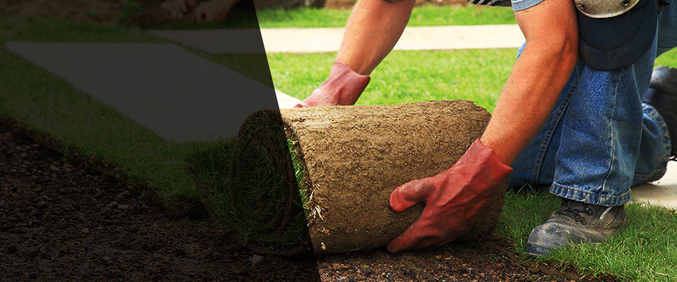 Jefferson Landscapers